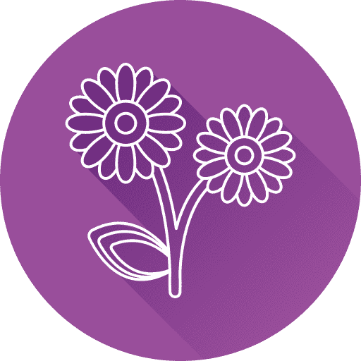 Bloom & Green Logo